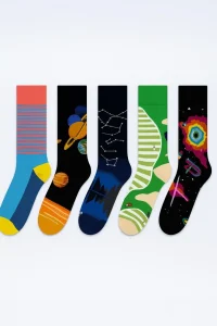 Stargazer & Dino Adventure Crew Sock Collection