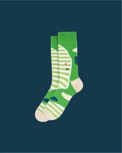 Friendly Dino Socks